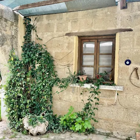 Castle Karpasia At Rizokarpaso Peninsula Northern Cyprus Bed & Breakfast